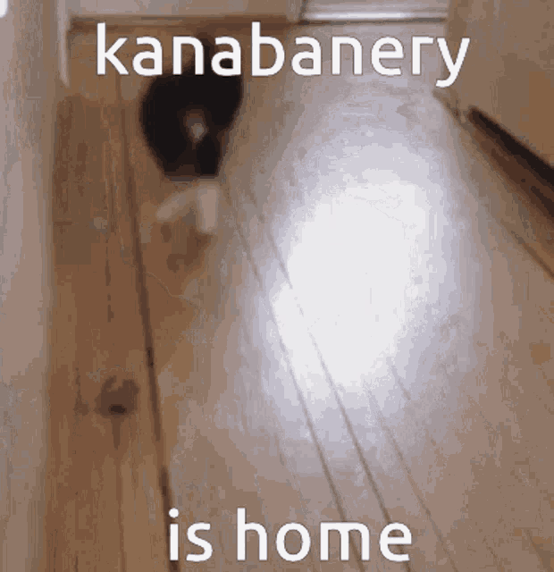 Kanabanery Is Home Kanabanery Came Home GIF - Kanabanery Is Home Kanabanery Came Home Kanabanery GIFs