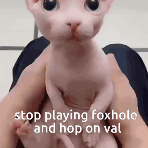 Foxhole Bingus GIF - Foxhole Bingus Valorant GIFs