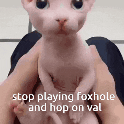 a person is holding a hairless cat with the words stop playing foxhole and hop on val below it
