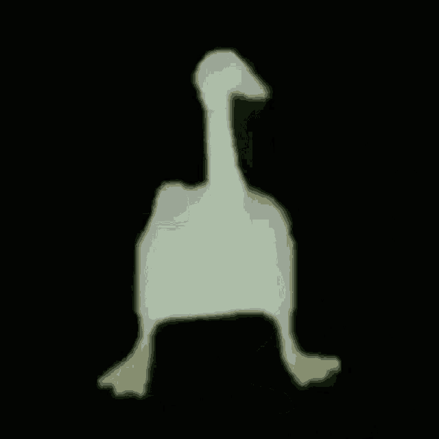 a white goose with yellow feet is walking in the dark .