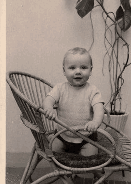 a baby is sitting in a wicker chair in front of a plant .