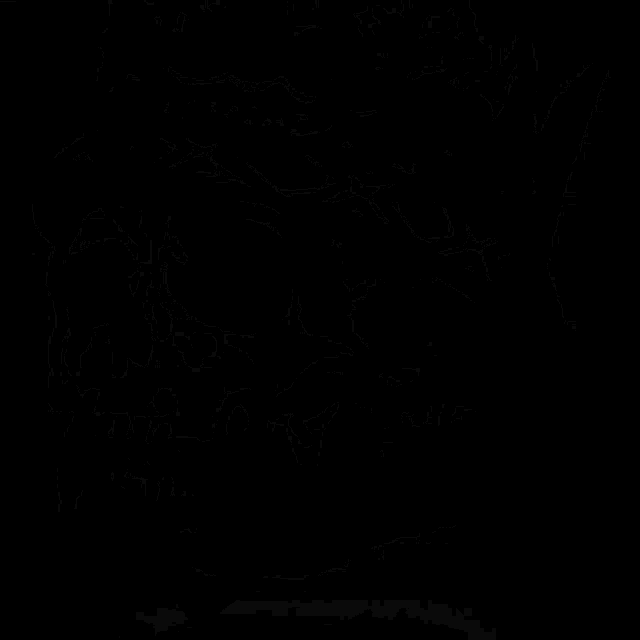 a black and white drawing of a turtle 's shell with a geometric pattern .