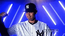 Yankees Nyy GIF - Yankees Nyy Sanchez GIFs