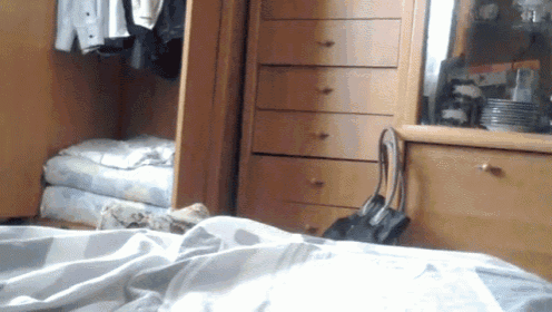 Peek-a-cat GIF - Cat Peek Bed GIFs