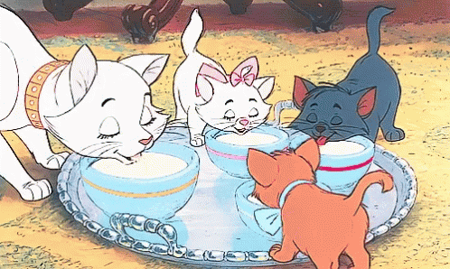 Aristocats Drinking Milk GIF - Aristocats Drinking Milk Hungry GIFs