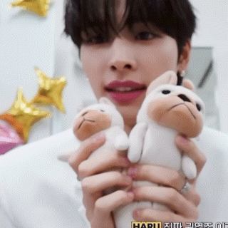 a man is holding two stuffed animals in his hands with the word haru on the bottom