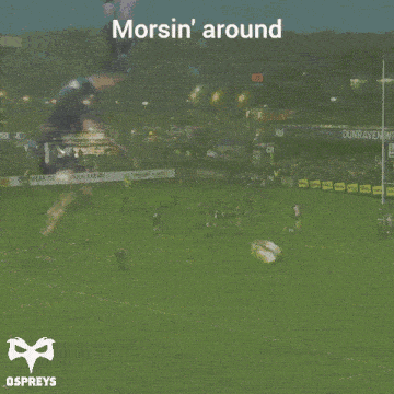 Morgan Morse Morgan Morse Ospreys GIF - Morgan Morse Morgan Morse Ospreys Ospreys Rugby GIFs
