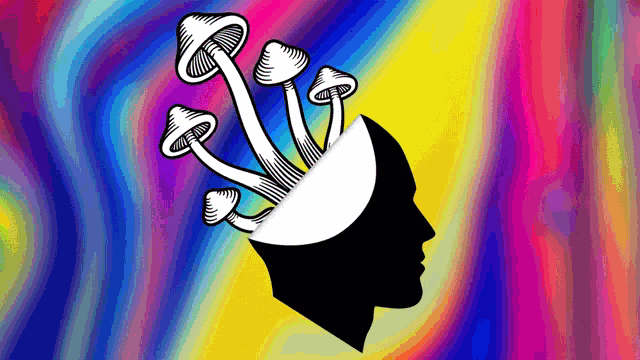 a drawing of a head with mushrooms coming out of it