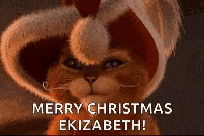 a cartoon cat wearing a santa hat and mustache is saying merry christmas elizabeth .