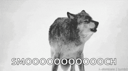 a black and white photo of a wolf howling at the moon .
