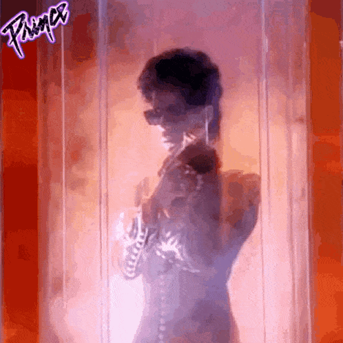 a silhouette of prince standing in front of a red wall