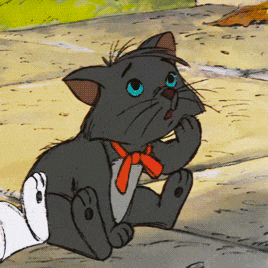 a black cat with blue eyes and a red bow tie