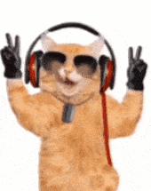 a cat wearing headphones , sunglasses and gloves is giving a peace sign .