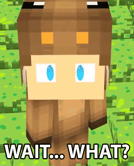 a picture of a minecraft character with the words wait what