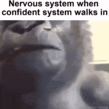 a close up of a gorilla 's face with the words nervous system when confident system walks in .