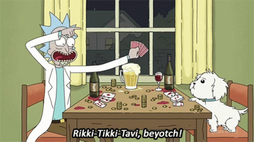 Rikki Tikki Tavi Beyotch GIF - Rikki Tikki Tavi Beyotch Rick And Morty GIFs