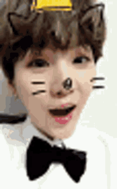 a close up of a person wearing a bow tie and a cat mask on their face .