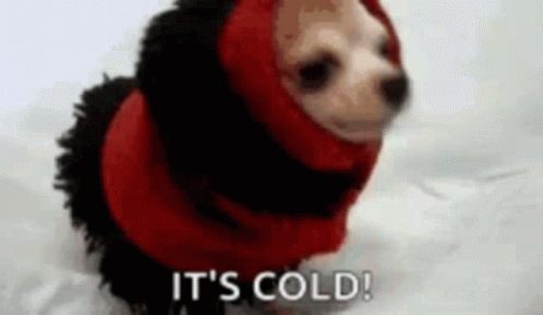 Its Cold GIF - Its Cold GIFs