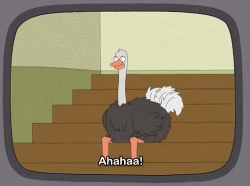 Ostrich Laughing GIF - Ostrich Laughing GIFs