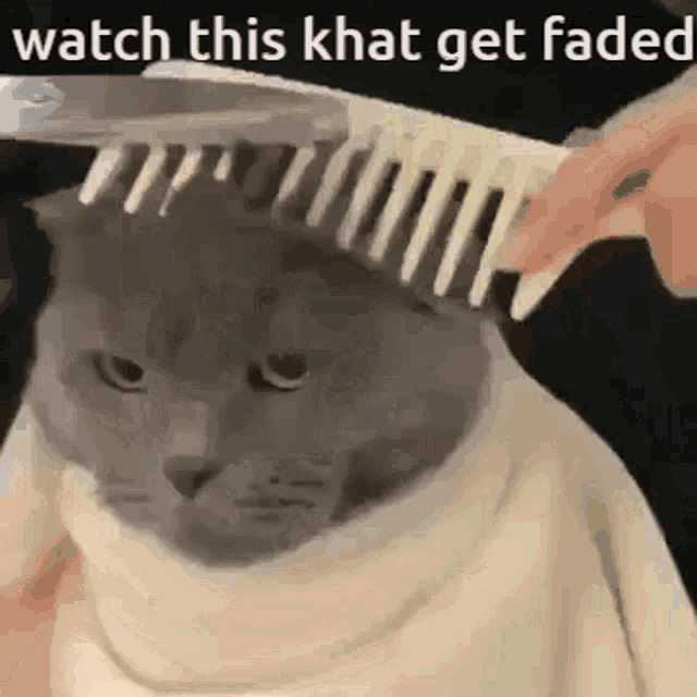 Khat GIF - Khat GIFs