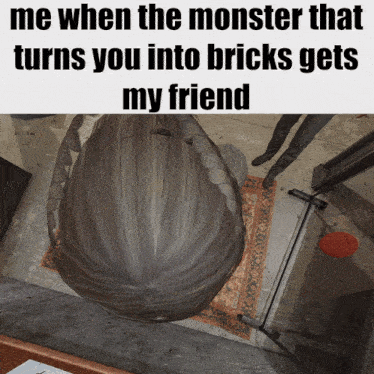 a meme that says me when the monster that turns you into bricks gets my friend on it