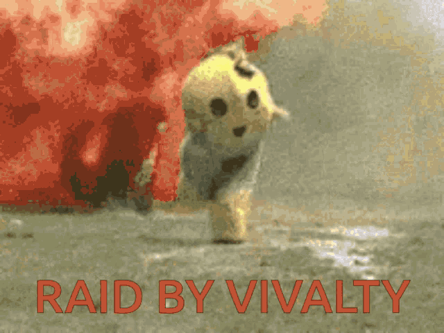 Raid By Vivalty Tiboo GIF - Raid By Vivalty Vivalty Tiboo GIFs
