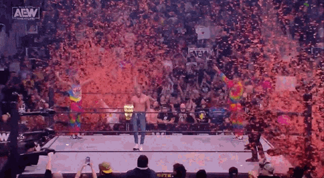a wrestler in a ring with a aew logo on the bottom
