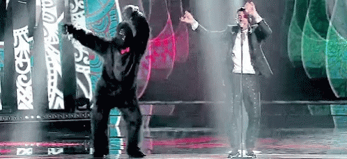 Eurovision Dance GIF - Eurovision Dance Gorilla GIFs