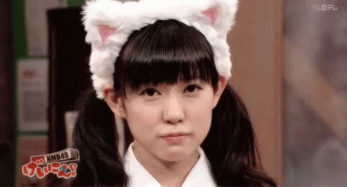 Miyuki Watanabe Cat GIF - Cat Kitten Kitty GIFs