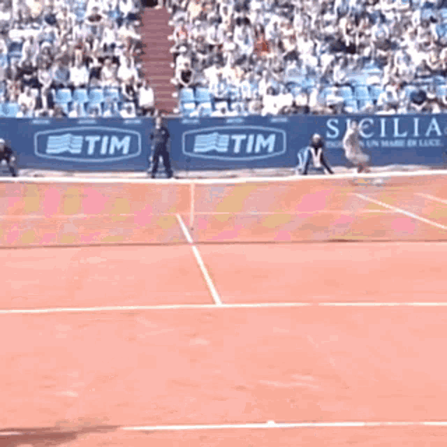 a tennis court with a banner that says tim