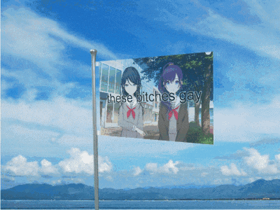 a flag with a picture of two girls and the words " these bitches gay " on it