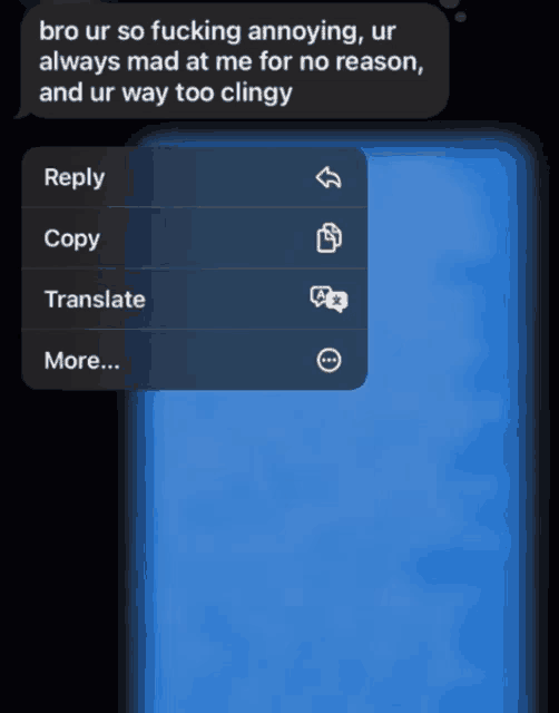 a screenshot of a text that says bro ur so fucking annoying