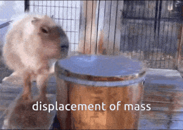 a capybara is standing next to a wooden barrel with the words displacement of mass below it