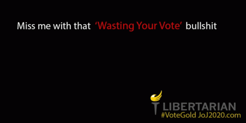 Vote Wasting Your Vote GIF - Vote Wasting Your Vote Systemic Racism GIFs