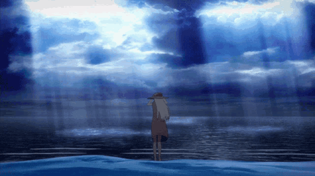 a woman in a hat stands on a beach looking out over the ocean