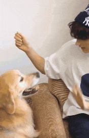 a man is sitting on a couch with a dog