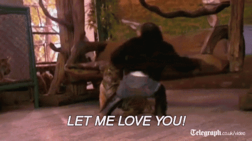 a telegraph.co.uk video shows a gorilla and a tiger and says let me love you