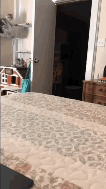 a cat is sitting on a shelf next to a bed