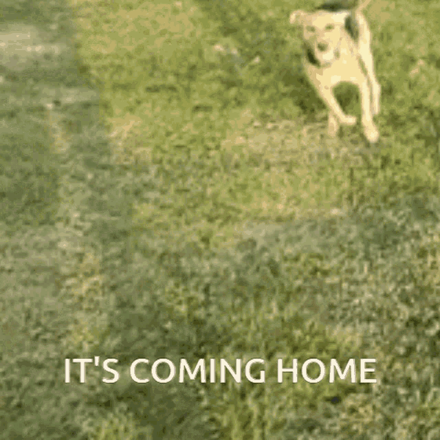 Its Coming Home Itscoming GIF