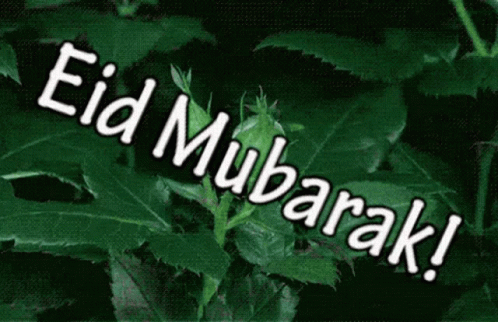 Eid Mubarak GIF - Eid Mubarak Happy GIFs