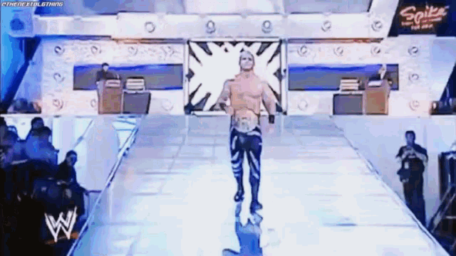 a wrestler is walking down a ramp in front of a crowd and a sign that says spike