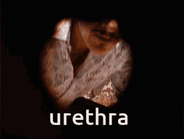 a man with a mustache is looking through a peephole and the word urethra is on the bottom right