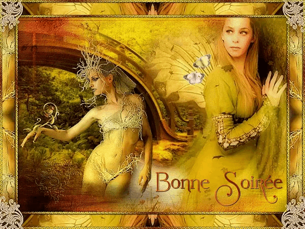 a painting of a woman with the words bonne soiree on the bottom