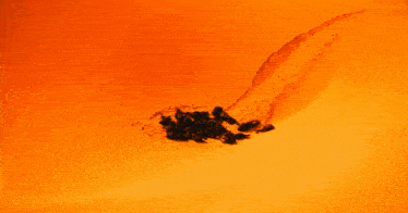 Dune Dune Part 2 GIF - Dune Dune Part 2 Shai Hulud GIFs