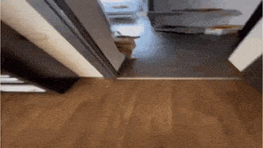 a cat is walking through a doorway in a room .