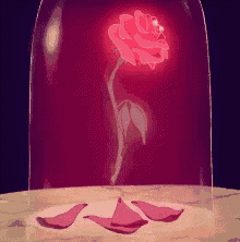 a glass dome with a red rose inside of it