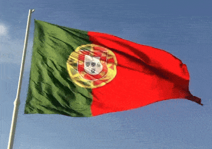 a green and red flag with the coat of arms of portugal