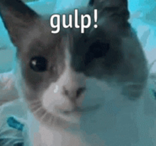 Gulp Gulper GIF - Gulp Gulper Cat GIFs