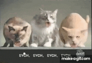 three cats are standing next to each other with their mouths open and their tongues out .