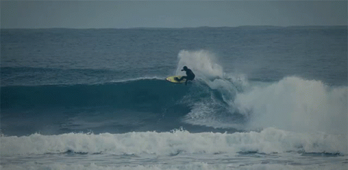 Surf Wave GIF - Surf Wave Riding GIFs